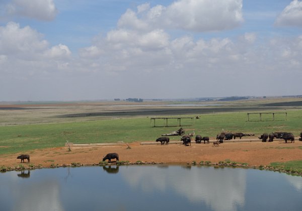 BlydeCanyonRiver