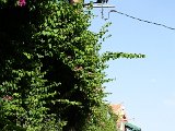 DSC00075