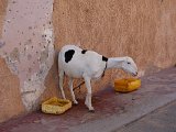 DSC00092