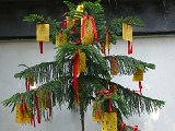 DSC00507