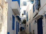 DSC05851