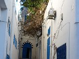 DSC05864