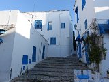 DSC05890